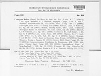 Uromyces viciae-fabae image